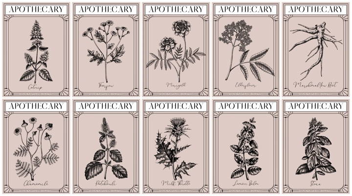 Apothecary labels set. Healing plants and medicinal herbs sketches. Art nouveua, adt deco, retro style. Vintage frame design templates. NOT AI generated